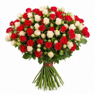 Розы Кустовые микс 3