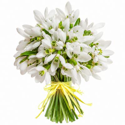 Букеты с подснежниками