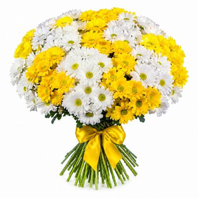 Хризантема кустовая микс 5